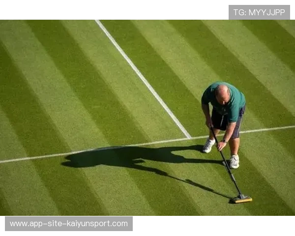 网球草地赛出现“草神”打法，选手训练法被广泛学习